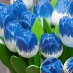 Tulpen - Deko in Blau