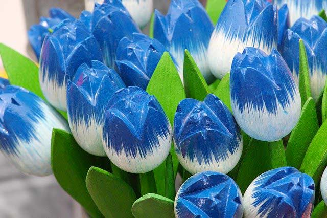 Tulpen - Deko in Blau