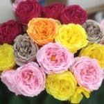 Rosen als Kunstblumen