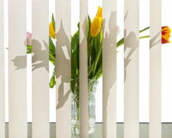 Sichtschutz Deko für Fenster © depositphotos.com
