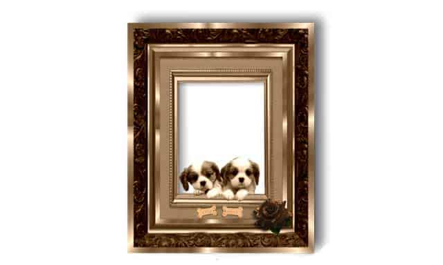 Bilderrahmen in Gold für Ihre Schätze