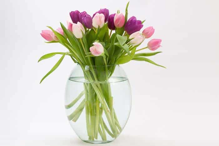 Glasvase mit Tulpen