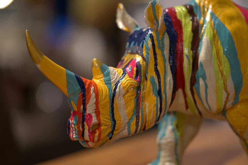Buntes Nasshorn als Reisemotiv