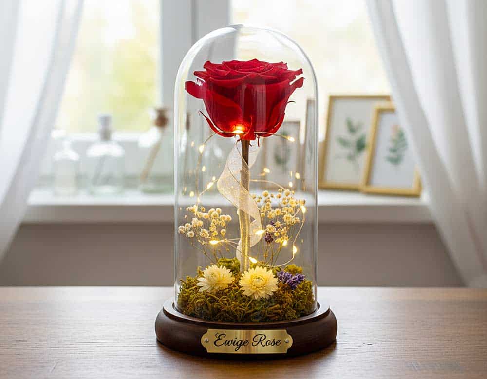 Ewige Rose Deko